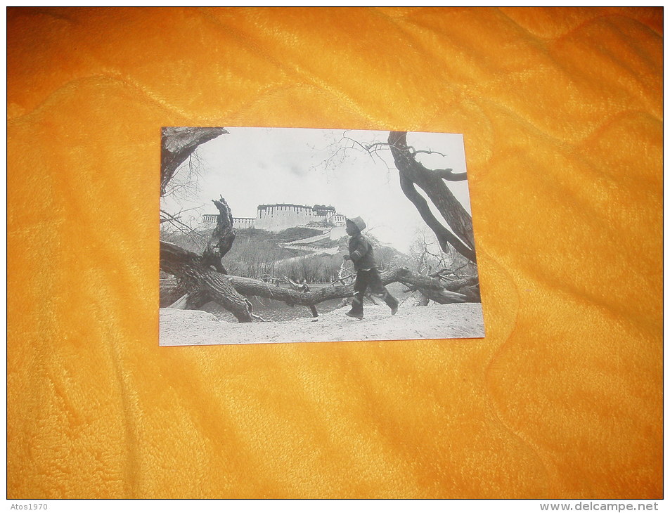 CARTE POSTALE PHOTO NON CIRCULEE / COLLECTION SANDRA ASSANDRI / 108.  LHASA, 1986. / CASTALIA 1990. ITALY. - Tibet