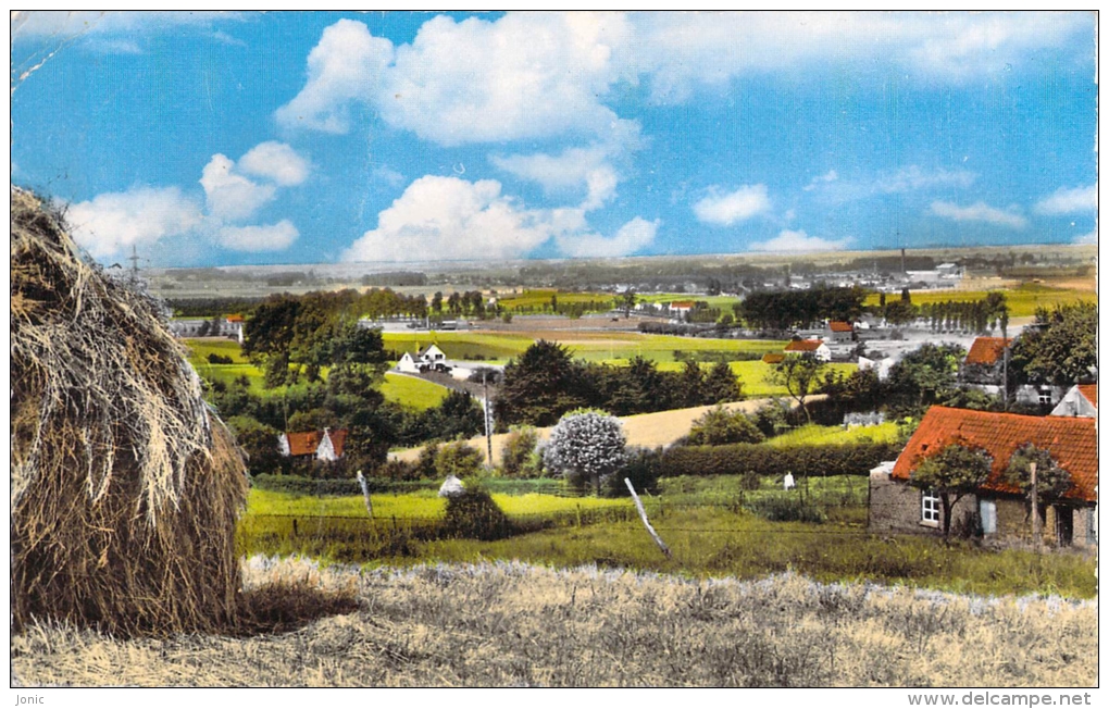 MONT DE L'ENCLUS - Vue Sur Ruyen - Kluisberg. Zicht Op Ruien - Kluisbergen