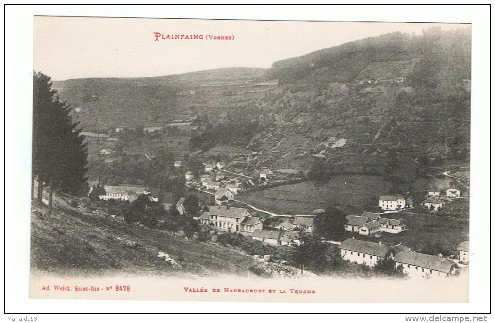 PLAINFAING - VOSGES - VALLEE DE HABEAURUPT ET LA TRUCHE - Plainfaing