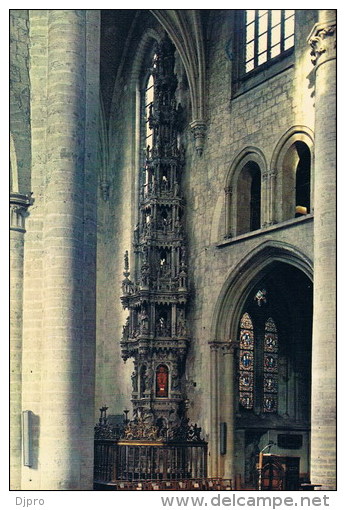 Zoutleeuw  Stenen Sacramentstoren - Zoutleeuw