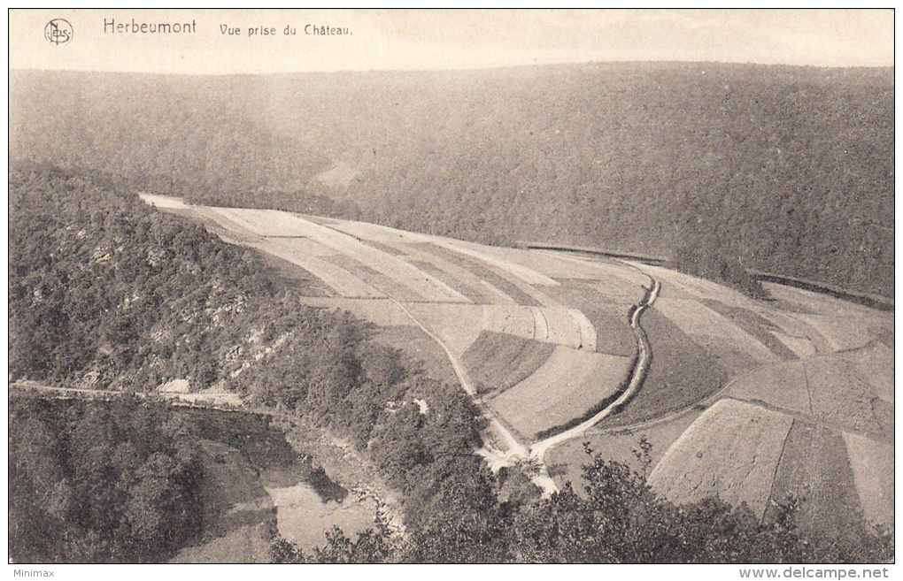 Herbeumont - Vue Prise Du Château - Herbeumont