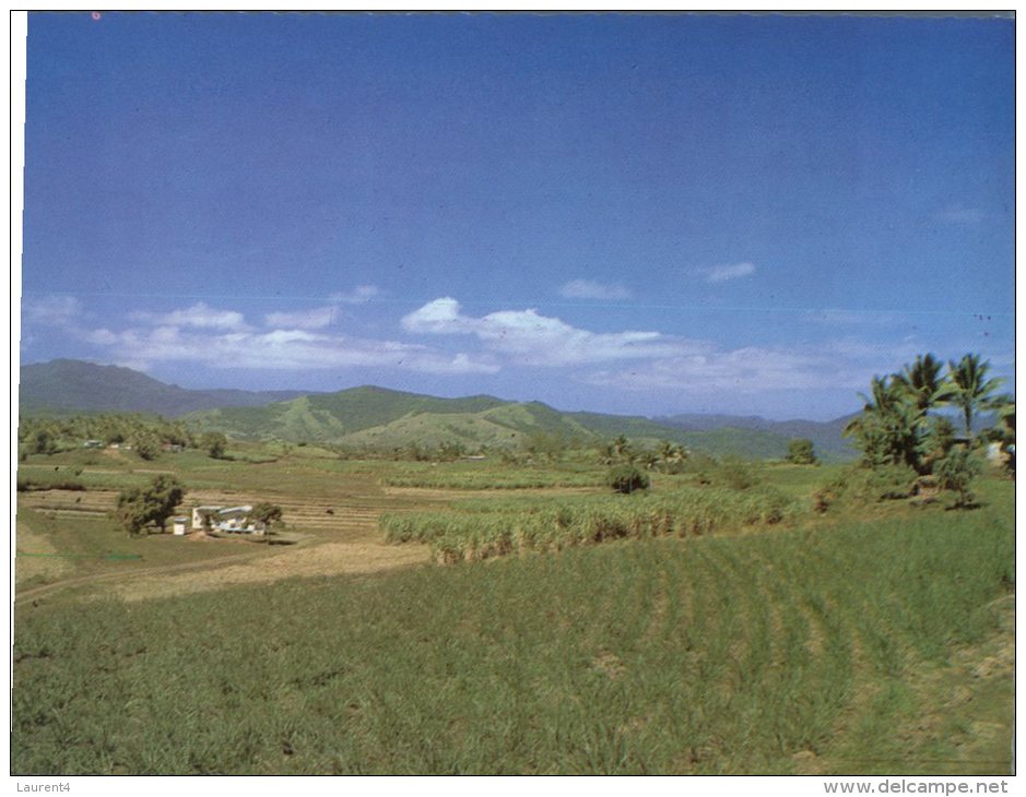 (101) Fidji - Fiji Vanua Levu Sugar Cane Plantation - Fidji