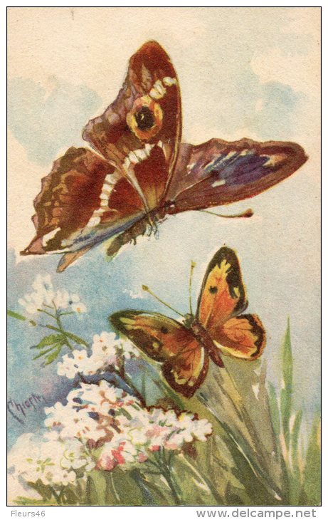 Illustrée Signée Carlo CHIOSTRI ( Rare ) : Papillons - Chiostri, Carlo
