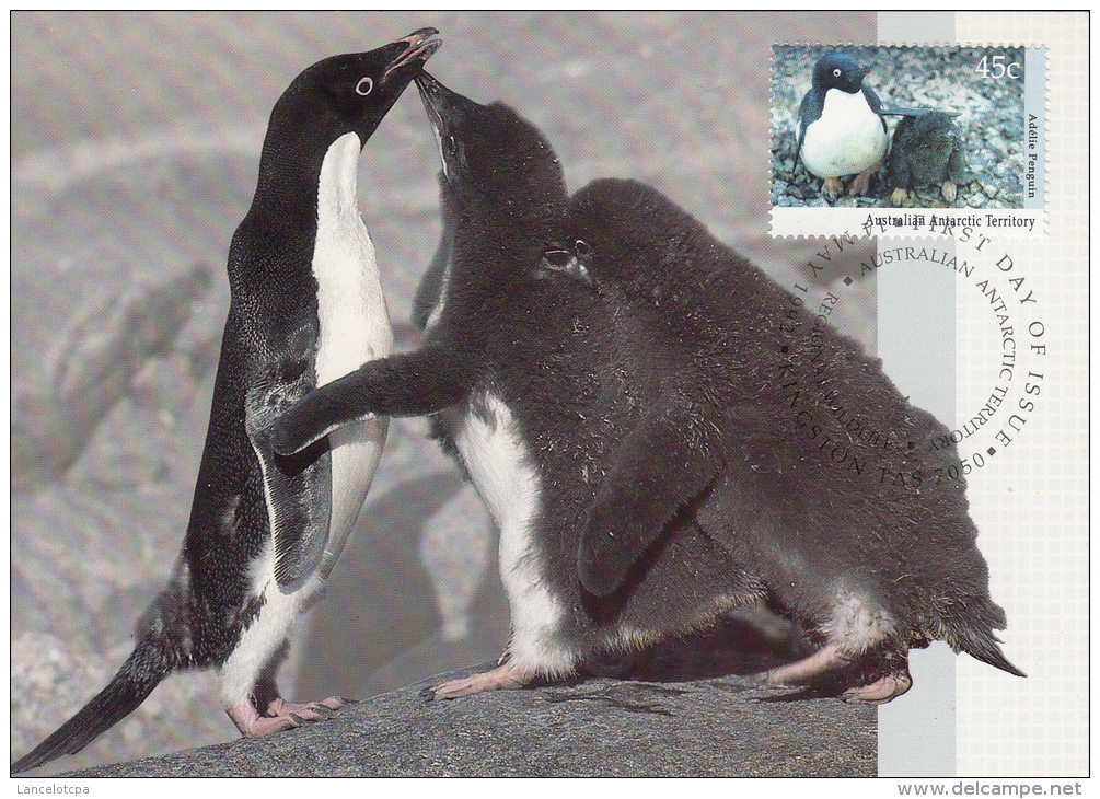 AUSTRALIAN ANTARTIC TERRITORY / CARTE POSTALE 1er JOUR 14 MAY 1992 PINGOUINS - FDC