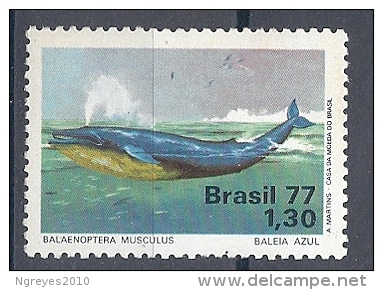 130606103  BRASIL  YVERT   Nº  1262  **  MNH - Unused Stamps