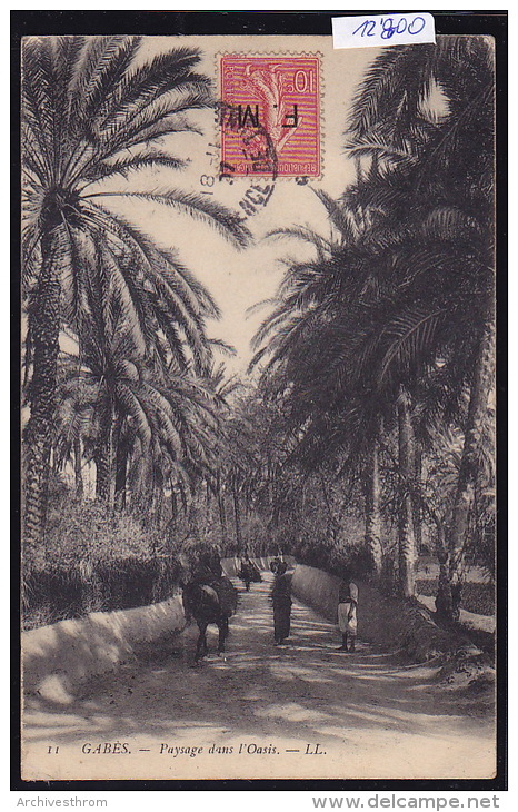 Tunisie - Gabès : Route Dans L'oasis, Cheval, Promeneurs - Vers 1907 (12´800) - Tunisie