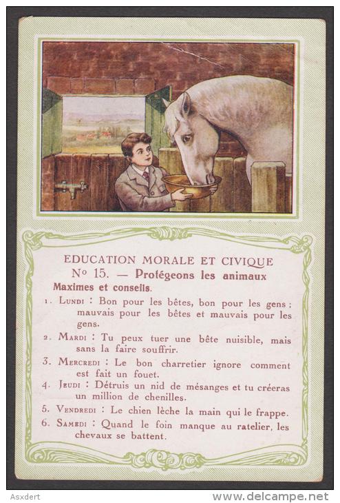 753 / N°15  Protégeons Les Animaux. - Bon Point Accordé à L'élève. - Autres & Non Classés