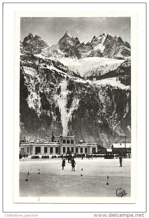 Cp, 74, Chamonix - Mont-Blanc, Le Palais Des Sports - Chamonix-Mont-Blanc