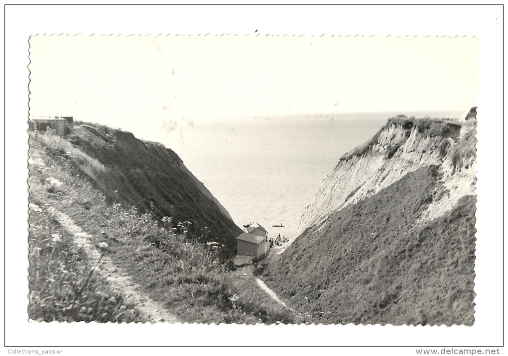 Cp, 76, Saint-Martin-Plage, Descente à La Plage Par Le Ravin, écrite - Saint-Martin-de-Boscherville