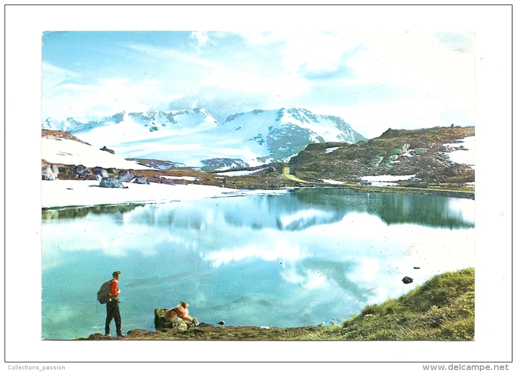 Cp, Norvège, The Sognefjell Road, Otta - Lom - Sognefjord, ..., Voyagée 1990 - Noruega