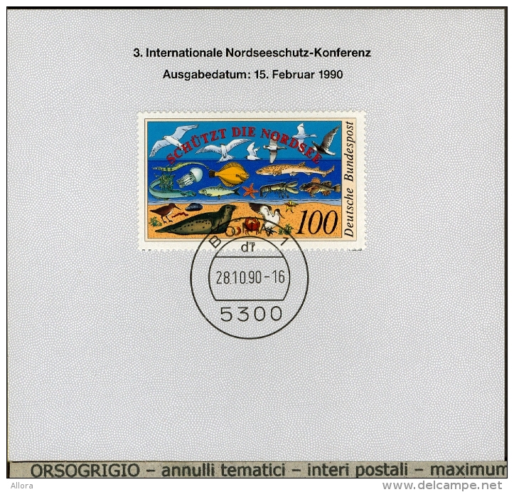 GERMANY  -    Blocco   Collezione - Storia Postale