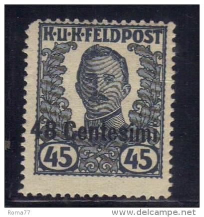 R946 - FRIULI 1918 , Soprastampato N. 28  *  Mint - Oostenrijkse Bezetting