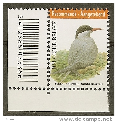 Timbre Recommandé - Aangetekend ( Sterne Artique- Noordse Stern ) Avec Curiosité CHEVEUX DANS LA NUQUE  . - Unused Stamps