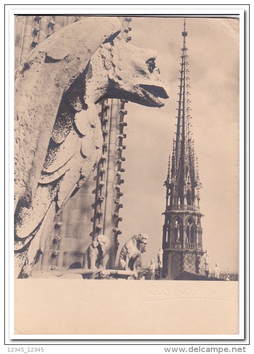 Frankrijk Paris Les Chimeres Et La Fleche De Notre-Dame ( Top Right Minor Fold ) - Notre-Dame De Paris