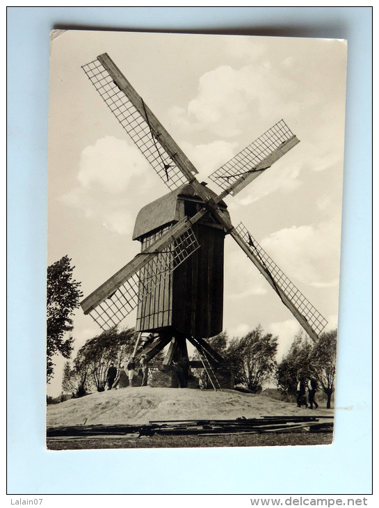 Carte Postale Ancienne : MUNSTER : Die Blockwindmühle - Muenster
