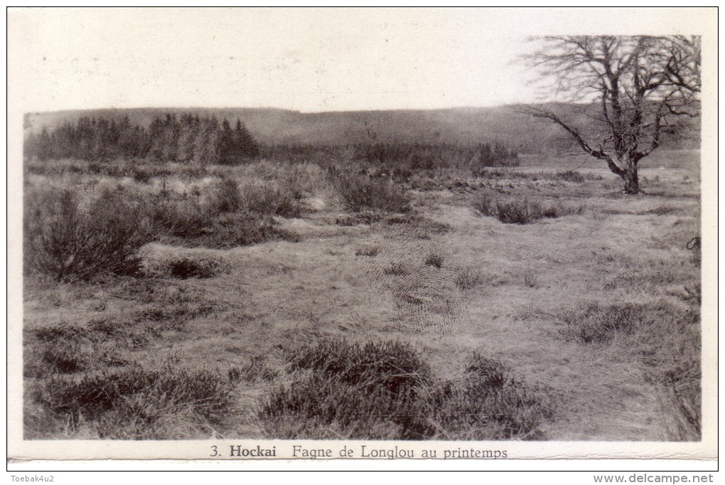 Stavelot  -  Hockai  -  Fagne De Longlou Au Printemps - Stavelot