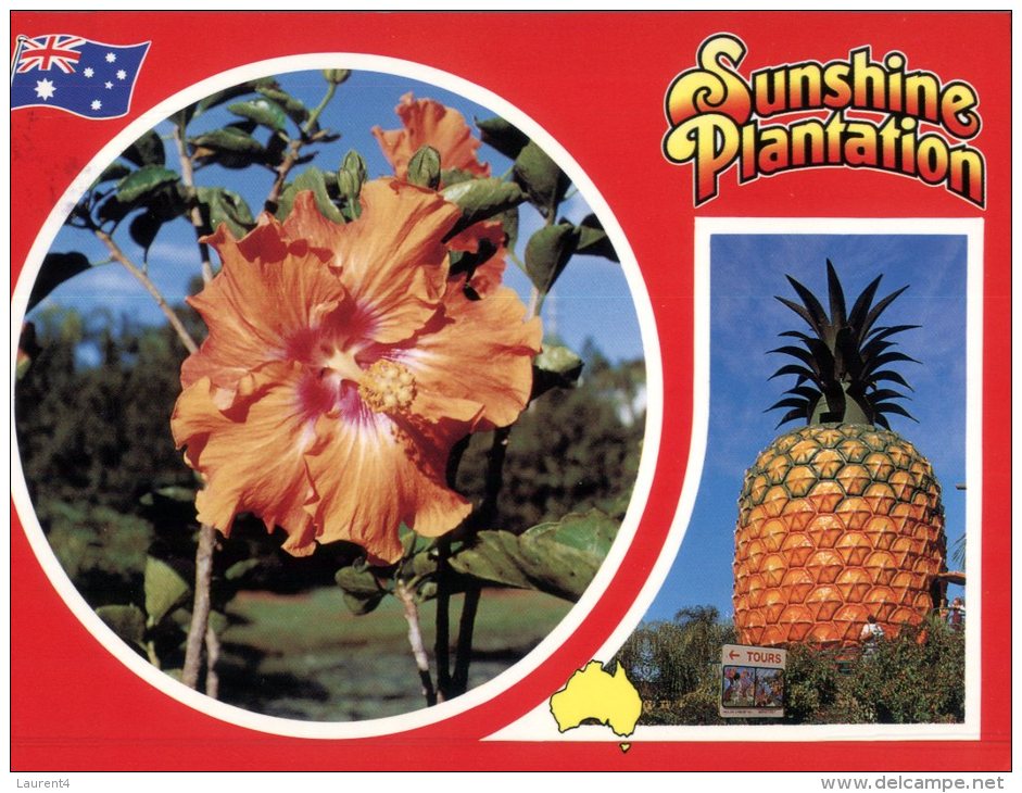 (467) Australia - QLD - Big Pinneapple - Sunshine Plantaion - Sunshine Coast