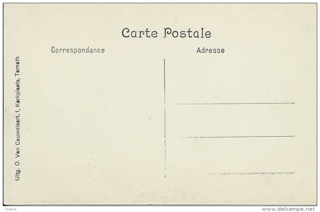 Ternat - Panorama Van Een Prachtig Deel Van De Gemeenschappelijke ( Verso Zien ) - Ternat