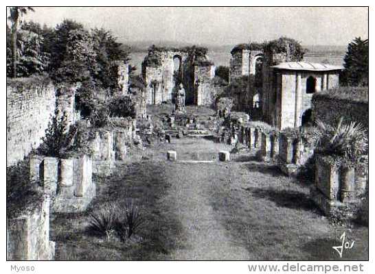 29 Abbaye De LANDEVENNEC Ruines De L'Eglise Abbatiale Dont L'ensemble Date De L''epoque Romane - Landévennec