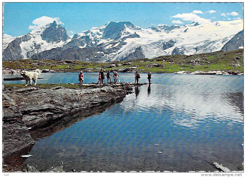 [38] Isère > (Bourg-d'Oisans) Paysages De L'OISANS Le LAC NOIR Et Massif De La Meije*PRIX FIXE - Bourg-d'Oisans