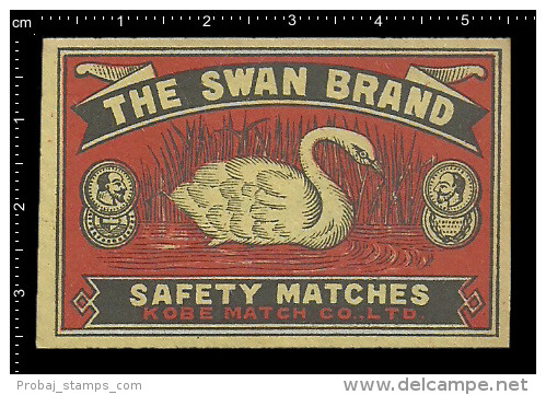 Poster Stamp - Matchbox Label - Bird Vogel Swan Schwan - Luciferdozen - Etiketten