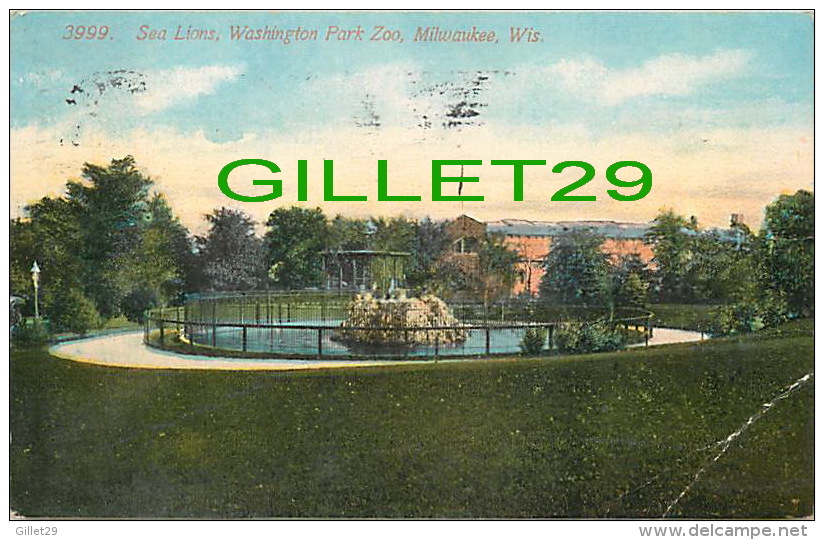 MILWAUKEE, WI - SEA LIONS, WASHINGTON PARK ZOO - TRAVEL IN 1915 - 3/4 BACK - PUB. BY ACMEGRAPH CO - - Milwaukee