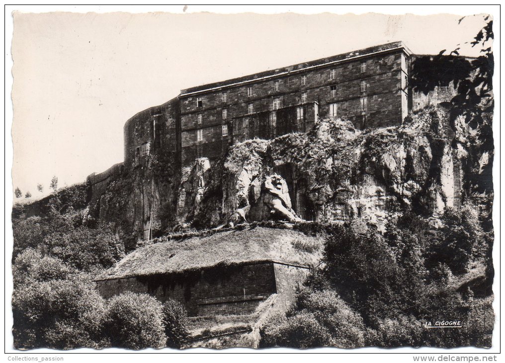 CP, 90, BELFORT, Le Château Et Le Lion (Scult. Bartholdi), Voyagé En 1981 - Belfort – Le Lion