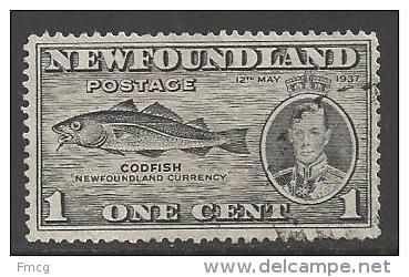 1937 1 Cent, Codfish, Used - 1908-1947