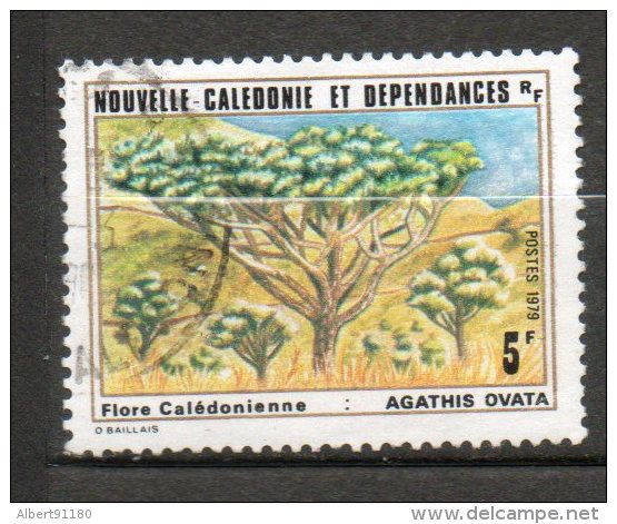 NOUVELLE-CALEDONIE Flore 1979 N°431 - Gebraucht