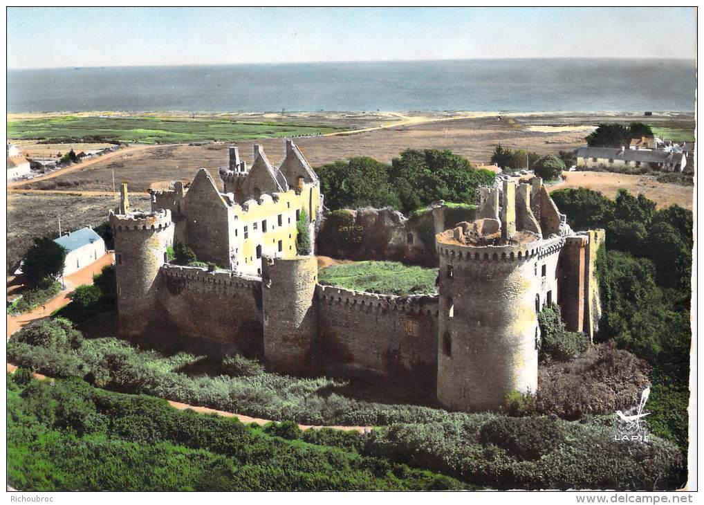 56 CHATEAU DE SUSCINIO / EN AVION AU DESSUS DE / VUE AERIENNE - Autres & Non Classés