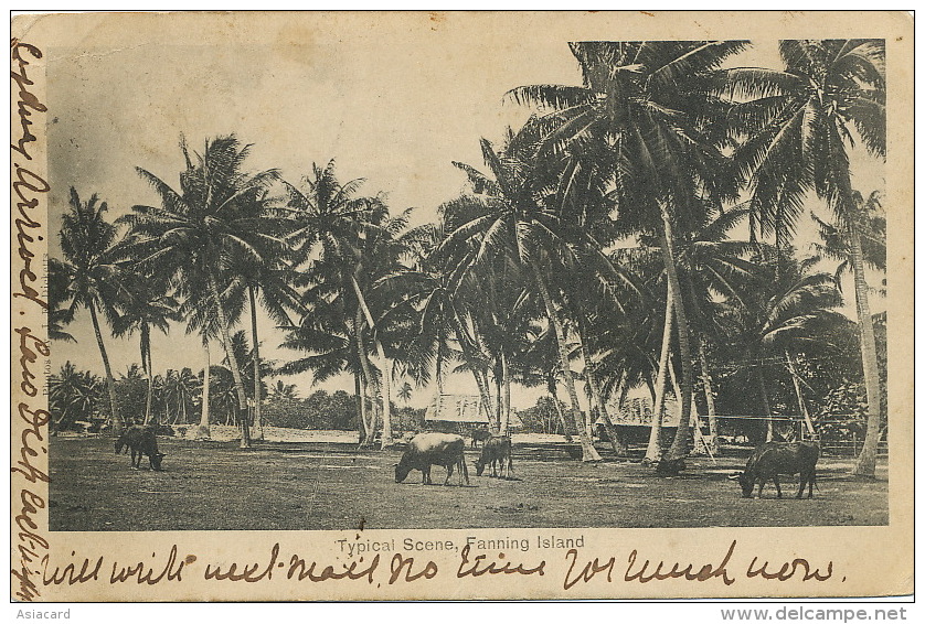 Kiribati  Typical Scene Fanning Island  Edit The Fiji Post Card Coy. Levuka Fiji - Kiribati