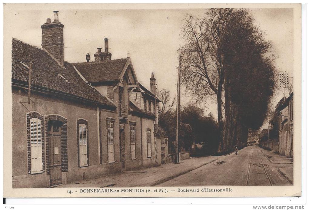 DONNEMARIE EN MONTOIS - Boulevard D'Haussonville - Other & Unclassified
