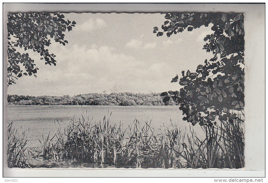 4530 IBBENBÜREN - ZUMWALDE, Naturschutzgebiet "Heiliges Meer", 1958 - Ibbenbueren