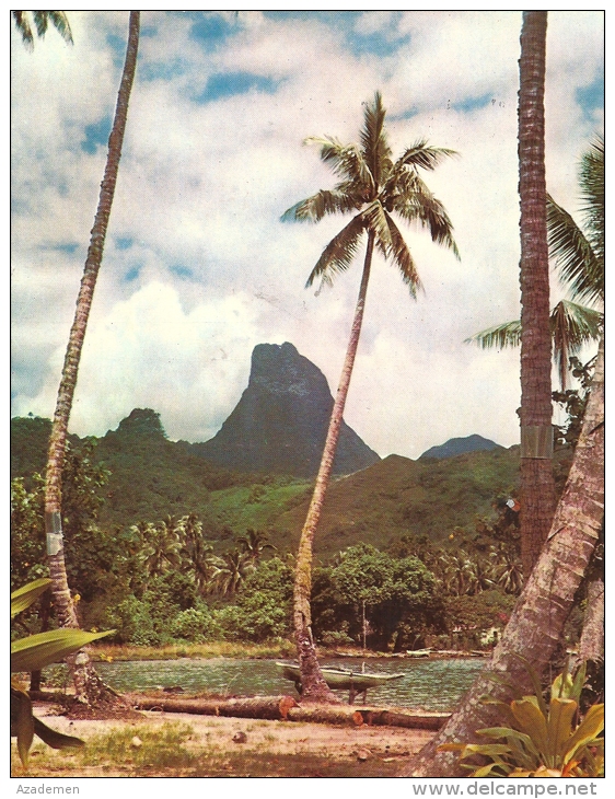 TAHITI, Collection UTA . (Grand Format  19.5x15 Cm ) - French Polynesia