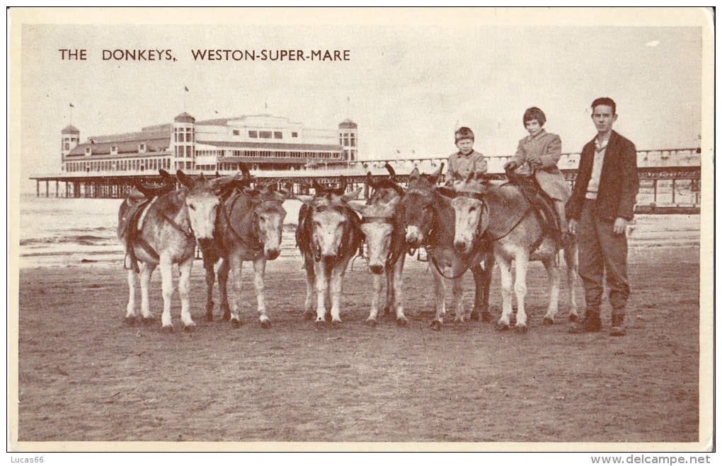 C1920 WESTON SUPER MARE - THE DONKEYS - Weston-Super-Mare