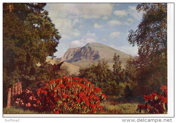 INVERNESS  - Ben Nevis From Inverlochy Castle - By W S Thomson  M177 - Inverness-shire