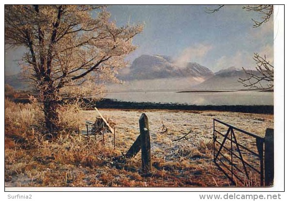 DUNBARTON -  A Winter Study Of  Ben Nevis From Locheilside Near Corpach - By W S Thomson   M188 - Dunbartonshire