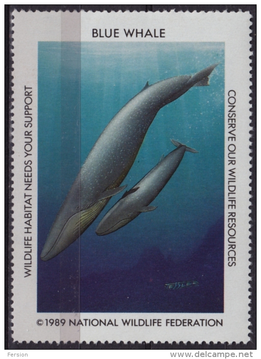 BLUE WHALE - National Wildlife Federation NWF - 1989  USA - LABEL / CINDERELLA - Baleines