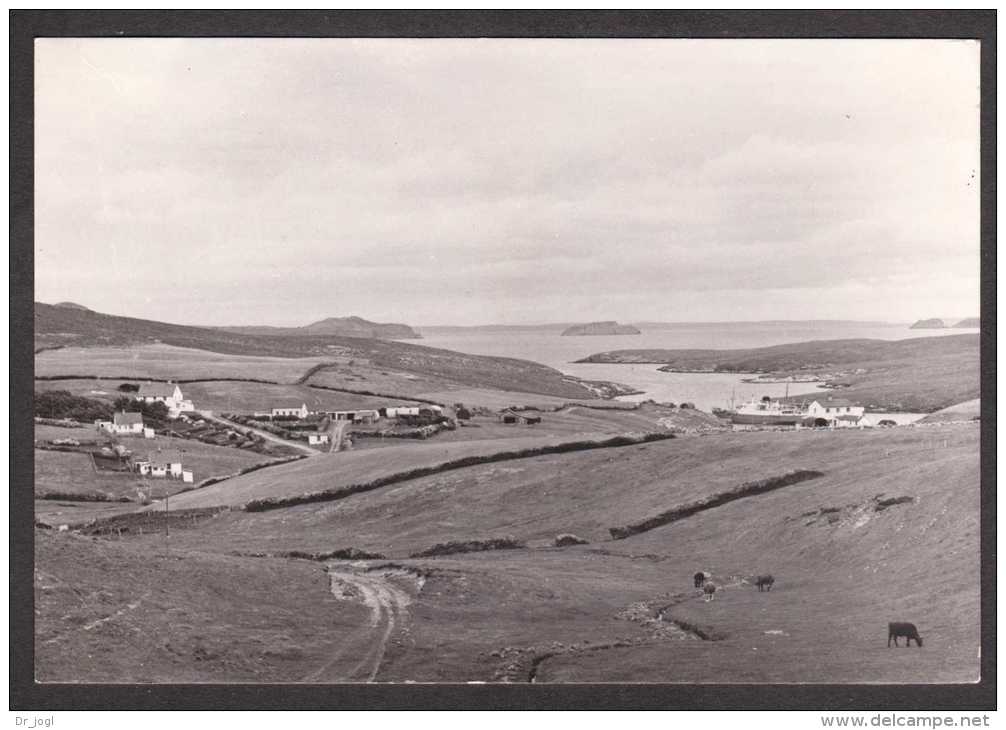 FA2) Roy Cove Settlement - Falkland Islands - RPPC - Falkland