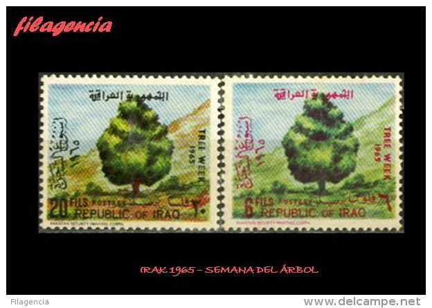 ASIA. IRAK MINT. 1965 SEMANA DEL ÁRBOL - Irak