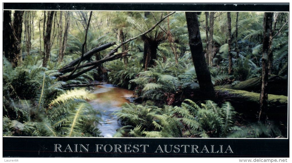 (543) Australia - Rainforest - Outback