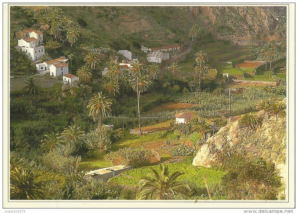 SPAIN   – POSTCARD – CANARY ISLANDS – LA GOMERA – VALLEHERMOSO – VALLE ALTO –   – NEW UNUSED   RE978 EDICION LA GOMERA B - Gomera