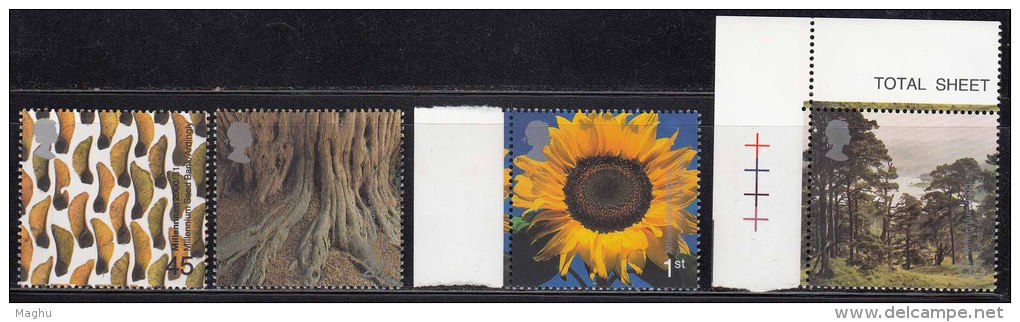 MNH 2000, Tree &amp; Leaf, Plant, Sunflower, Flower, Forest, Nature, Seed Bank, Great Britain, United Kingdom - Neufs