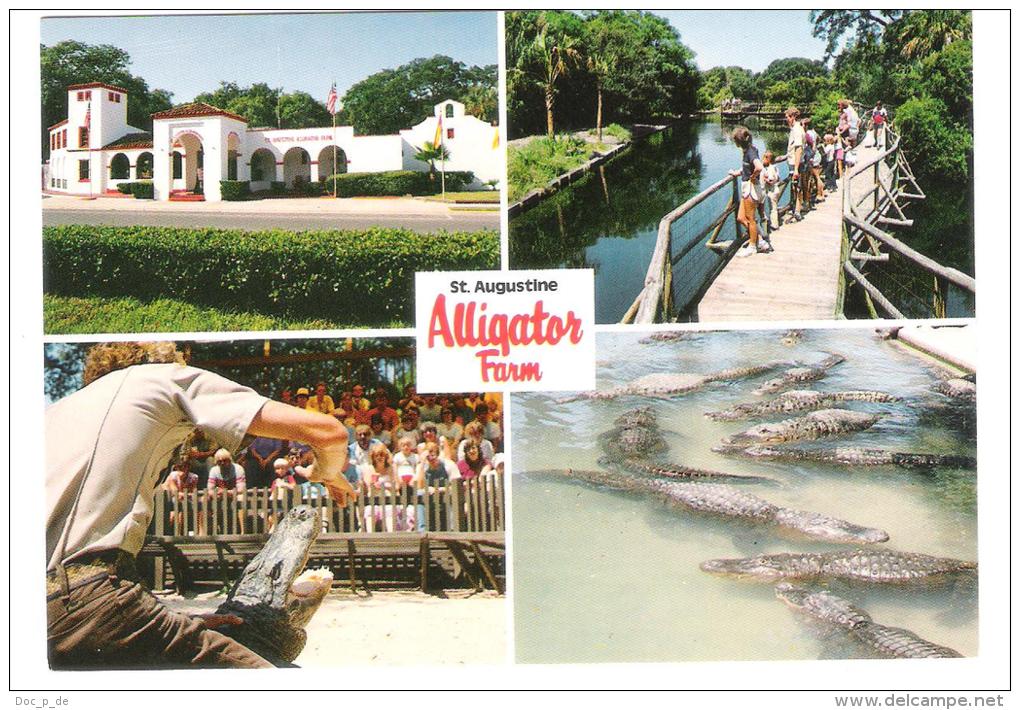USA - St. Augustine - Florida - Alligator Farm - Krokodil - St Augustine