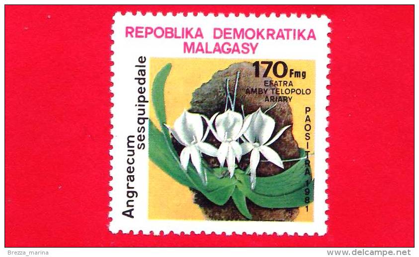 MADAGASCAR - Nuovo- 1981 - Fiori - Flowers - Fleurs - Angraecum Sesquipedale - 170 Fmg - Madagascar (1960-...)