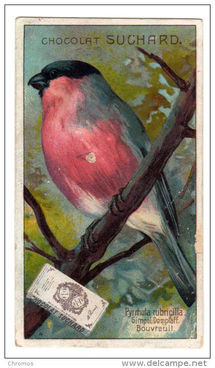 Chromo SUCHARD, N° 291 / 4, (rare Serie) Oiseau, Bouvreuil - Suchard