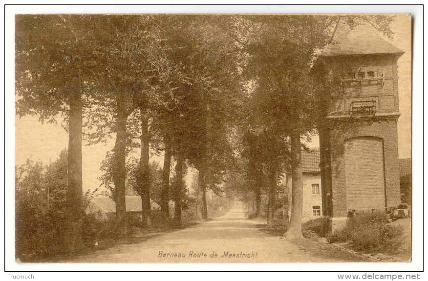 E3152 - BERNEAU  -  Route De Maestricht - Dalhem