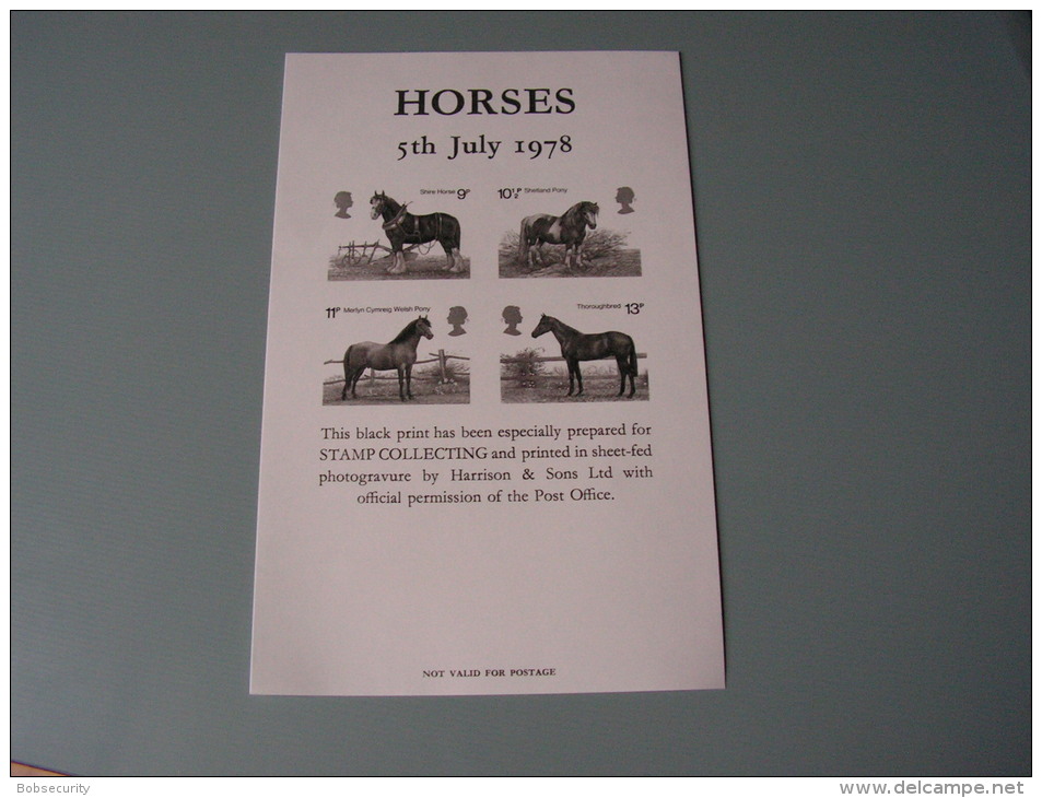 == GB Blackprint 1978  By Harrison Horses - Cinderellas