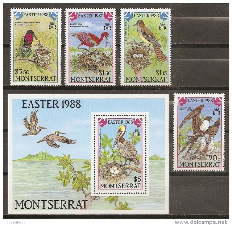 AVES - MONTSERRAT 1988 - Yvert #669/72+H45 - MNH ** - Pélicans