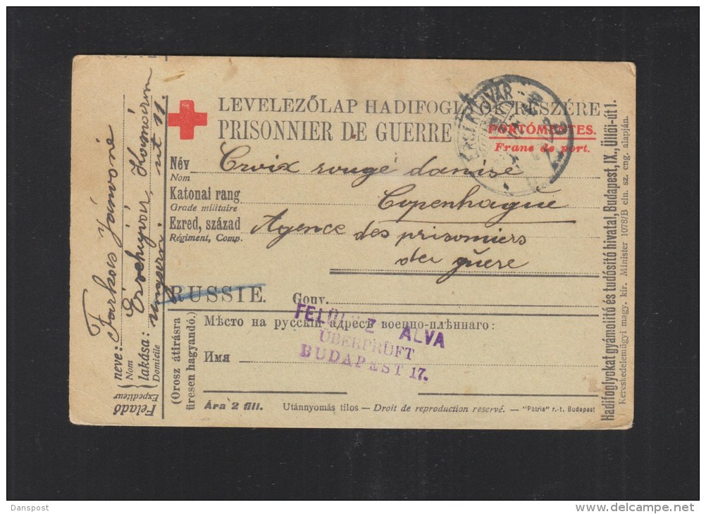 Hungary POW PC To Denmark  1916 - Lettres & Documents